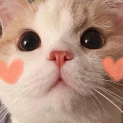 Fernando Zobel avatar