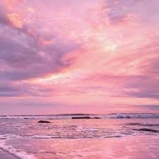 Matteo Guidicelli avatar